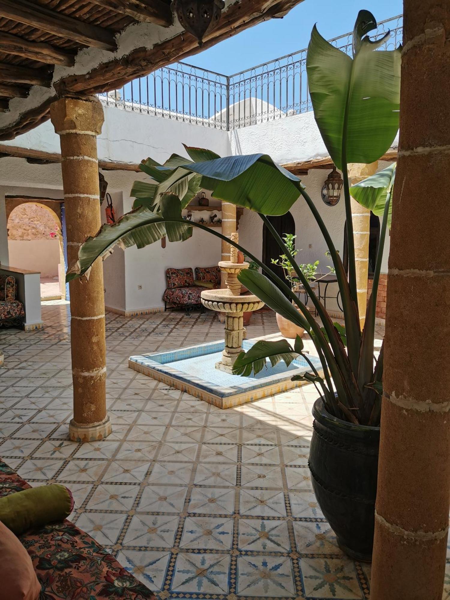 Riad Eucalyptus Essaouira Luaran gambar