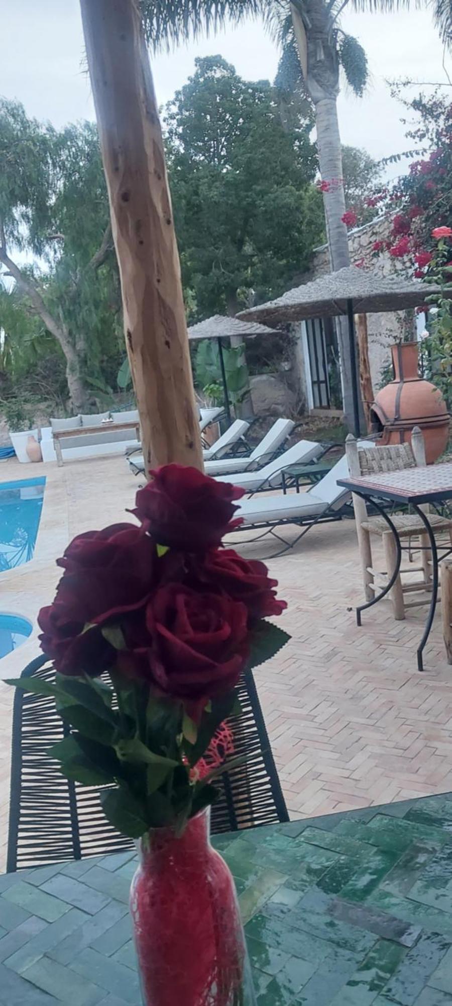 Riad Eucalyptus Essaouira Luaran gambar