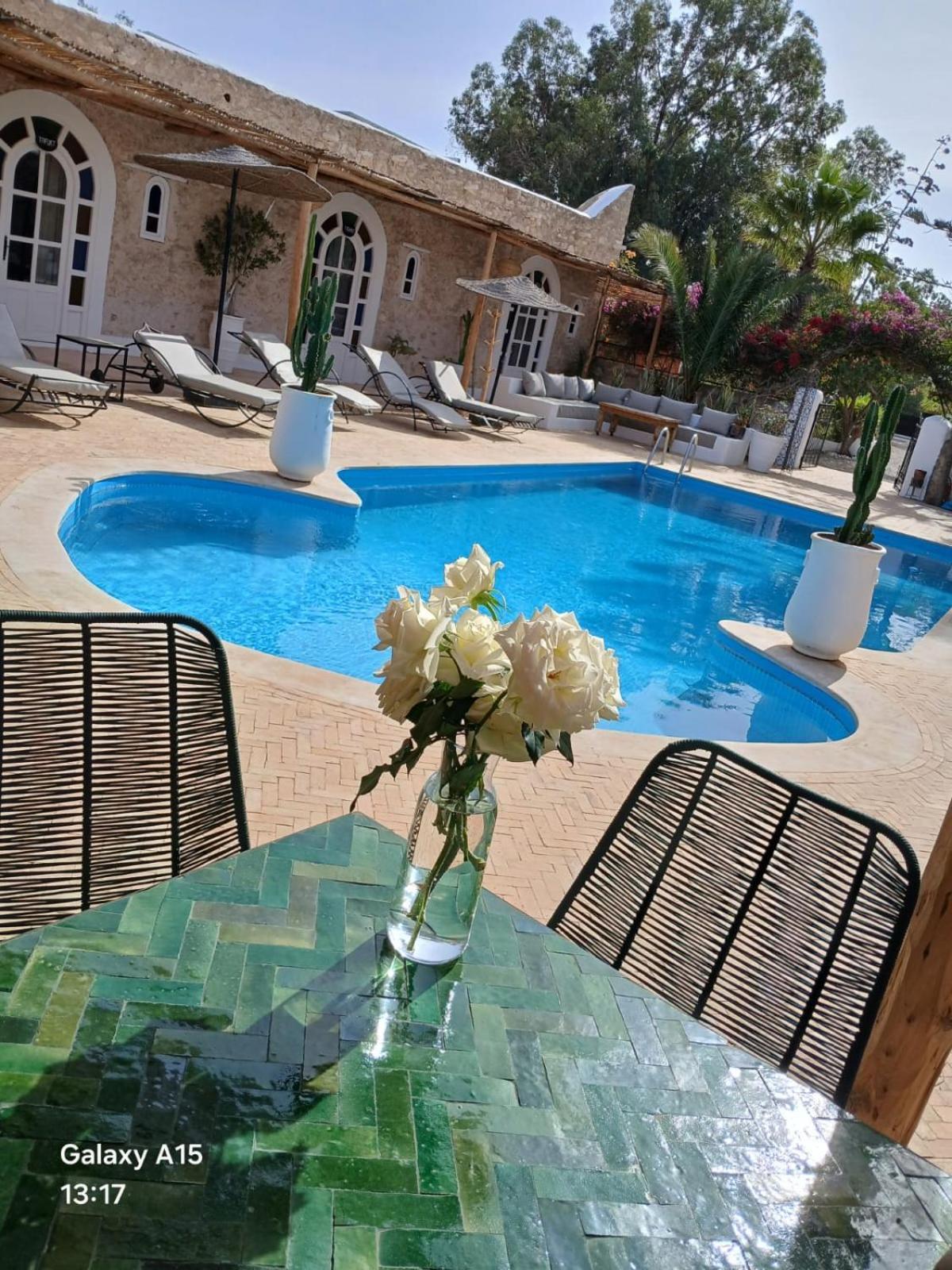 Riad Eucalyptus Essaouira Luaran gambar
